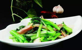 家常菜谱禁忌食品