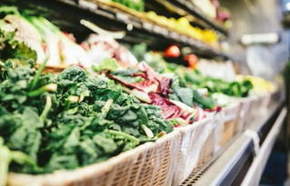 [私家菜蛋卷鲔鱼饼的制作要诀]营养不良食谱的制作材料